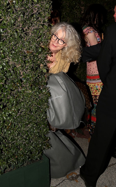 Blythe Danner, party